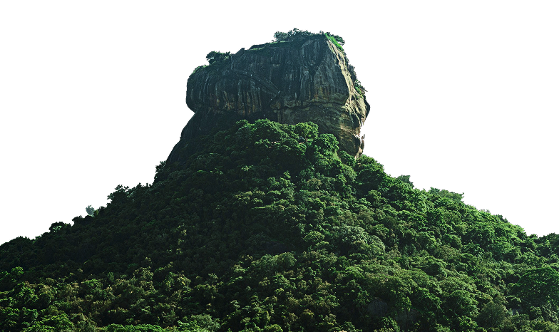 Hero Background Image